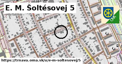 E. M. Šoltésovej 5, Trnava