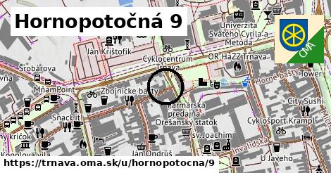 Hornopotočná 9, Trnava