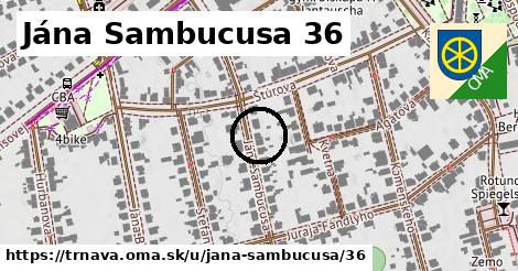 Jána Sambucusa 36, Trnava