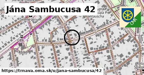 Jána Sambucusa 42, Trnava