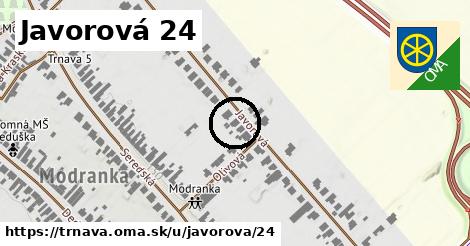 Javorová 24, Trnava