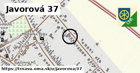 Javorová 37, Trnava