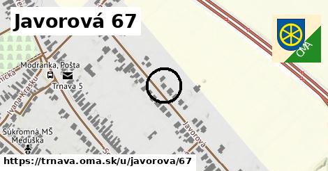 Javorová 67, Trnava