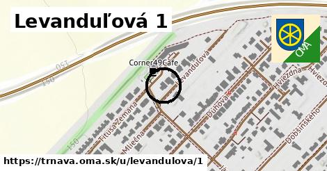 Levanduľová 1, Trnava