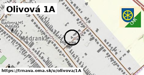 Olivová 1A, Trnava