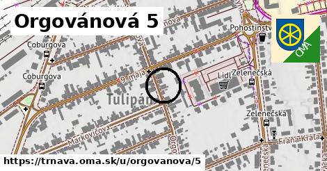 Orgovánová 5, Trnava