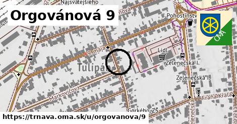 Orgovánová 9, Trnava