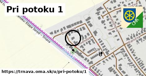 Pri potoku 1, Trnava