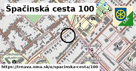 Špačinská cesta 100, Trnava