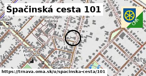 Špačinská cesta 101, Trnava