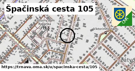 Špačinská cesta 105, Trnava