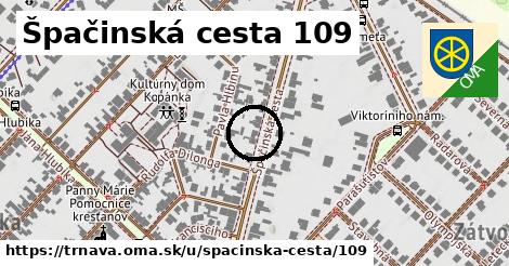 Špačinská cesta 109, Trnava