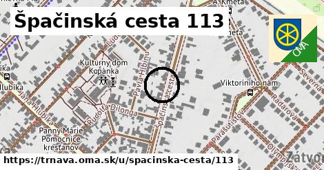 Špačinská cesta 113, Trnava