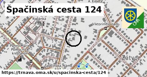 Špačinská cesta 124, Trnava