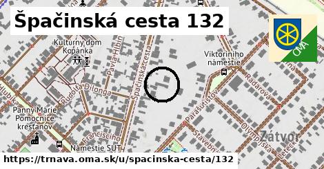 Špačinská cesta 132, Trnava