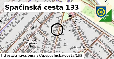 Špačinská cesta 133, Trnava