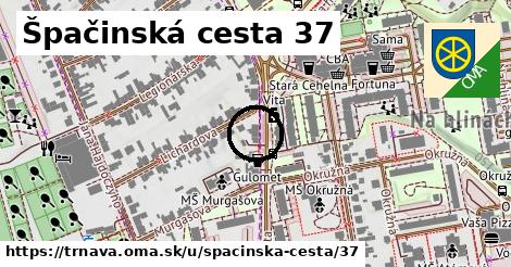 Špačinská cesta 37, Trnava