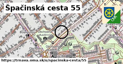 Špačinská cesta 55, Trnava