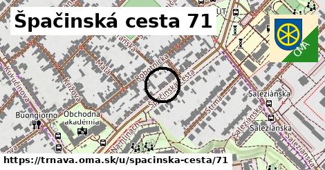 Špačinská cesta 71, Trnava