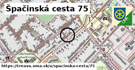 Špačinská cesta 75, Trnava