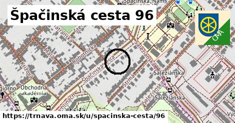 Špačinská cesta 96, Trnava