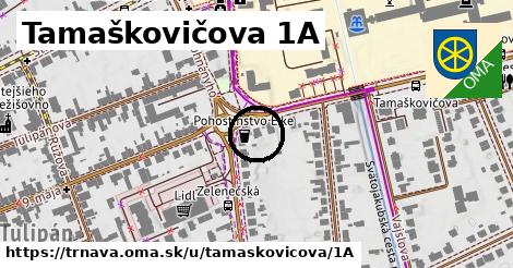 Tamaškovičova 1A, Trnava