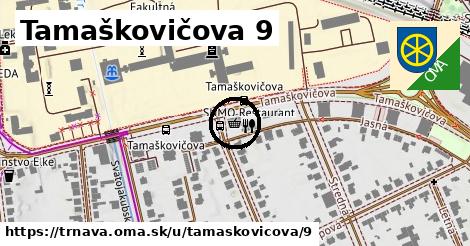 Tamaškovičova 9, Trnava