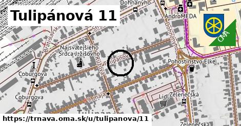 Tulipánová 11, Trnava