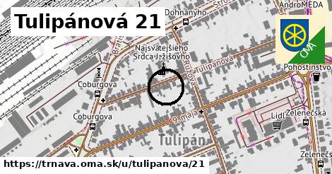 Tulipánová 21, Trnava