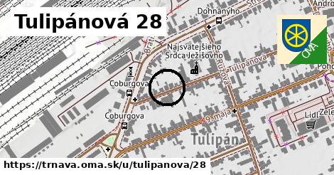 Tulipánová 28, Trnava