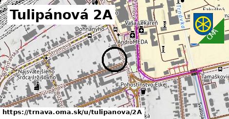 Tulipánová 2A, Trnava