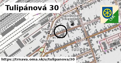 Tulipánová 30, Trnava