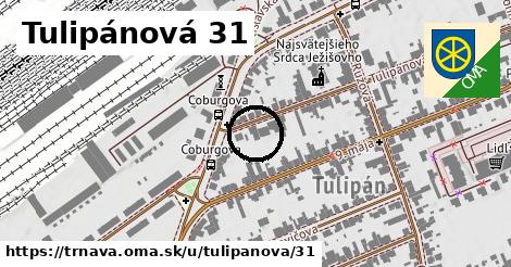 Tulipánová 31, Trnava