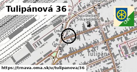 Tulipánová 36, Trnava