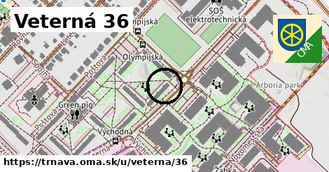 Veterná 36, Trnava