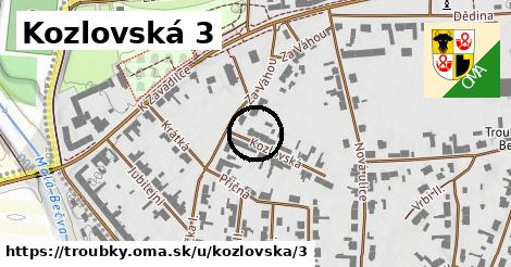 Kozlovská 3, Troubky