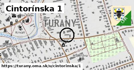 Cintorínska 1, Turany