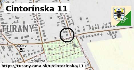 Cintorínska 11, Turany