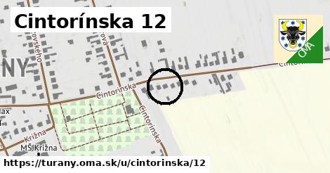 Cintorínska 12, Turany