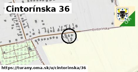 Cintorínska 36, Turany