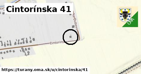 Cintorínska 41, Turany