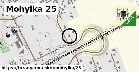 Mohylka 25, Turany