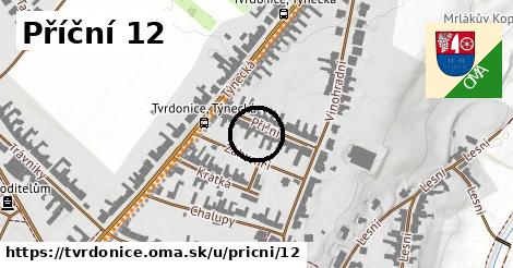 Příční 12, Tvrdonice