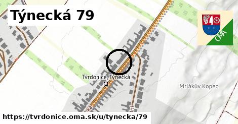 Týnecká 79, Tvrdonice