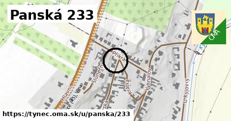 Panská 233, Týnec