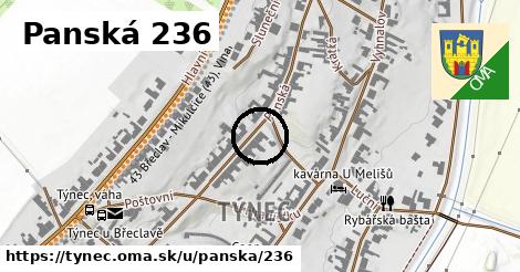 Panská 236, Týnec