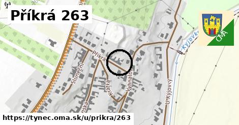 Příkrá 263, Týnec