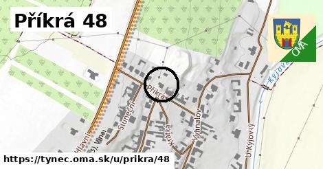 Příkrá 48, Týnec