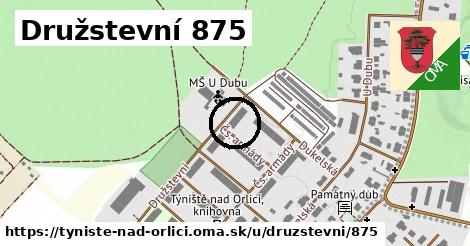 Družstevní 875, Týniště nad Orlicí