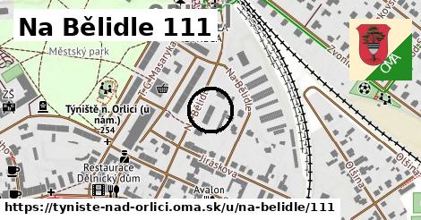 Na Bělidle 111, Týniště nad Orlicí